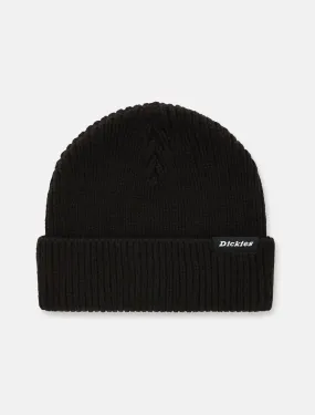 Dickies Woodworth DK0A4X7YBLK black unisex cap 